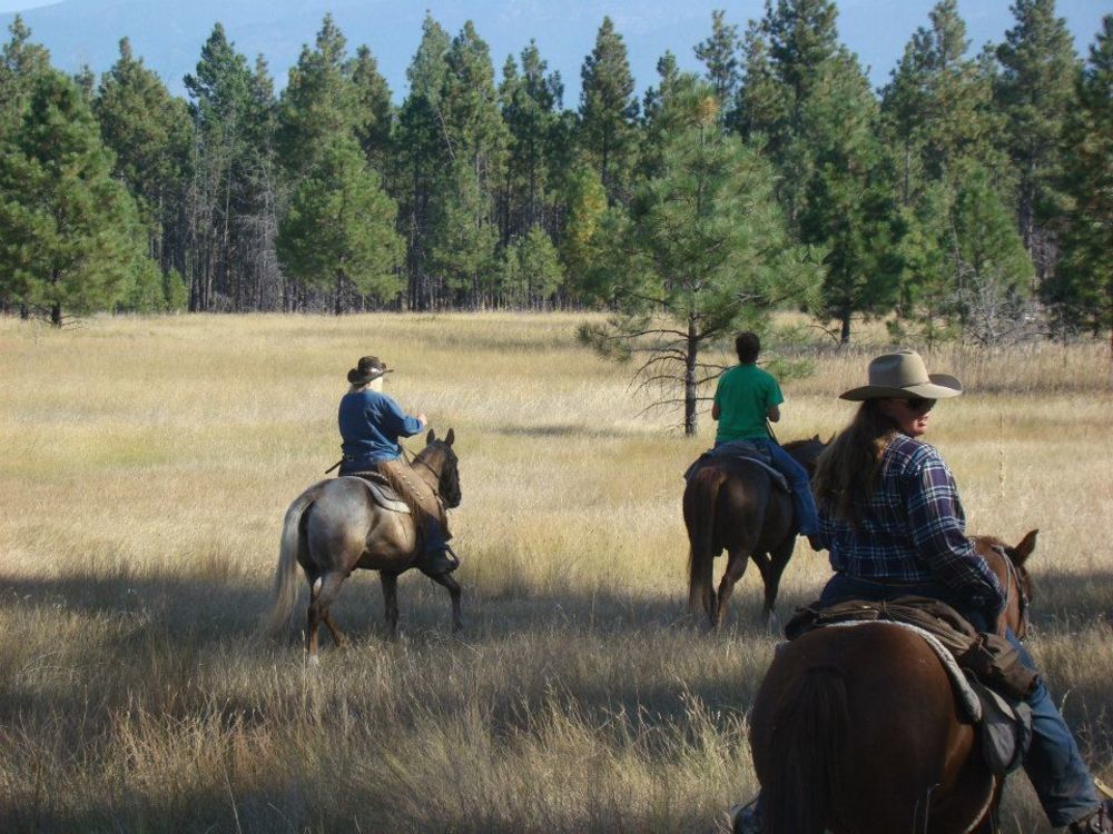 Dream Haven Guest Ranch Hotel Marion Kültér fotó
